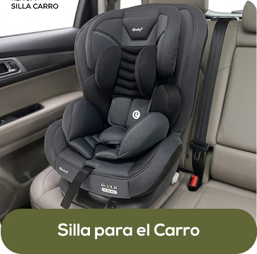 Silla para carro